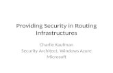 Providing Security in Routing Infrastructures