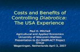 Costs and Benefits of Controlling  Diabrotica :  The USA Experience