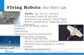 Flying Robots : the MAV-lab