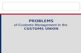 PROBLEMS of Customs Management in the CUSTOMS UNION