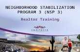 NEIGHBORHOOD STABILIZATION PROGRAM 3 (NSP 3)