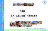 FAO   in South Africa