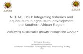 NEPAD FISH: Integrating fisheries and aquaculture in agricultural development the Southern African Region