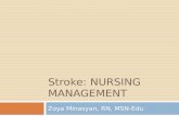 Stroke:  Nursing Management