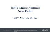 India Maize Summit New Delhi 20 th  March 2014