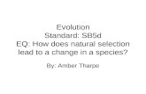 Evolution Standard: SB5d EQ: How does natural selection lead to a change in a species?