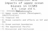 Attribution and impacts of upper ocean biases in CCSM3 W.G. Large and G. Danabasoglu