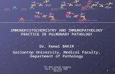 IMMUNOHISTOCHEMISTRY AND IMMUNOPATHOLOGY PRACTICE IN PULMONARY PATHOLOGY Dr. Kemal BAKIR Gaziantep University, Medical Faculty, Department of Pathology
