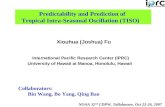 Predictability and Prediction of     Tropical Intra-Seasonal Oscillation (TISO)