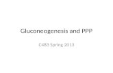 Gluconeogenesis and PPP