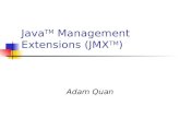 Java TM  Management Extensions (JMX TM )