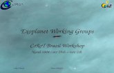 Exoplanet Working Groups