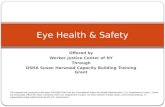 Eye Health & Safety