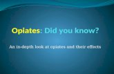 Opiates : Did you know?