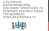 2.03 Employ entrepreneurial discovery strategies to generate feasible ideas for business ventures/products