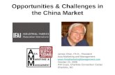 Opportunities & Challenges in the China Market