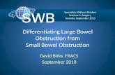 Differentiating Large Bowel Obstruction from Small Bowel Obstruction
