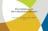 EU initiatives in the e-Business domain