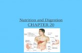 Nutrition and Digestion CHAPTER 20
