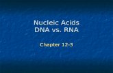 Nucleic Acids DNA vs.  RNA