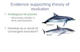 Evidence supporting theory of evolution