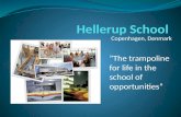 Hellerup  School