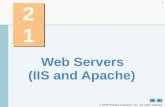 Web Servers (IIS and Apache)