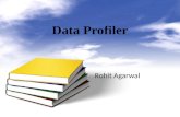 Data Profiler