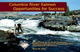 Columbia River Salmon Opportunities for Success