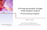 A Programmable Single Chip Digital Signal Processing Engine