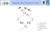 Quantum Cheshire Cats