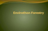 Envirothon  Forestry
