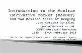 Introduction to the Mexican Derivative market ( MexDer )  and two Mexican cases of hedging