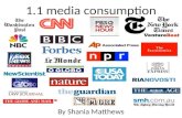 1.1 media  consumption