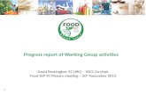 Progress report of Working Group activities