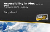 Accessibility in Flex  (and the flash platform)