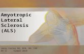 Amyotropic Lateral  Sclerosis (ALS)