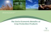 The Socio-Economic Benefits of  Crop Protection Products