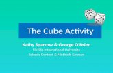 The Cube Activity