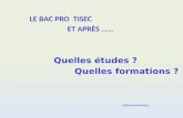 LE  BAC PRO   TISEC                                 ET  APRÈS …… Quelles  études ?                       Quelles  formations ? CIOLR/PG/JCB/Avril2012
