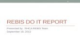 REBIS DO IT report
