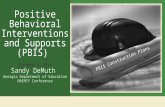 Positive Behavioral Interventions and Supports (PBIS)