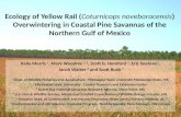 Ecology of Yellow Rail ( Coturnicops noveboracensis ) Overwintering in Coastal Pine Savannas of the Northern Gulf of Mexico