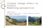 Climate change effect on  forests Modelling perspective