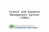 Travel and Expense Management System (TEMS)