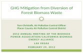 GHG Mitigation from Diversion of Forest Biomass Waste