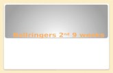 Bellringers  2 nd  9 weeks