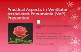 Practical Aspects in Ventilator-Associated Pneumonia (VAP) Prevention
