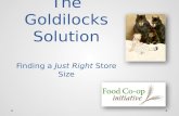 The Goldilocks Solution Finding a  Just Right  Store Size