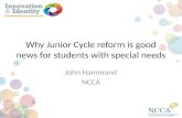Why Junior Cycle reform is good news for students with special needs